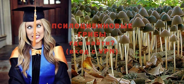каннабис Баксан