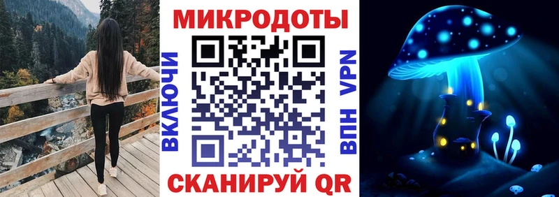 Псилоцибиновые грибы Psilocybine cubensis Кольчугино