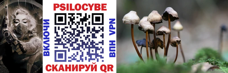 как найти закладки  Кольчугино  Псилоцибиновые грибы прущие грибы 